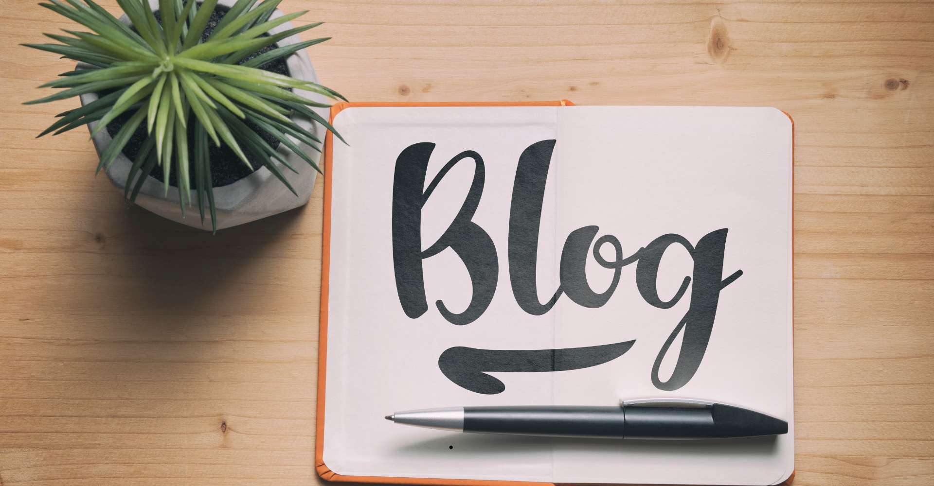 CIT Blog